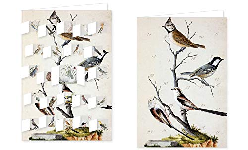 RASW070 - " Wald- und Wiesenvögel " Adventskalender-Doppelkarte - 12,5 x 18,5 cm mit hochwertigem Kuvert von Rannenberg & Friends