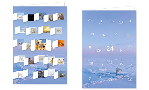 RASW088 -"Eisbären" Adventskalender-Doppelkarte - 12,5 x 18,5 cm mit hochwertigem Kuvert - RASW088 von Rannenberg & Friends