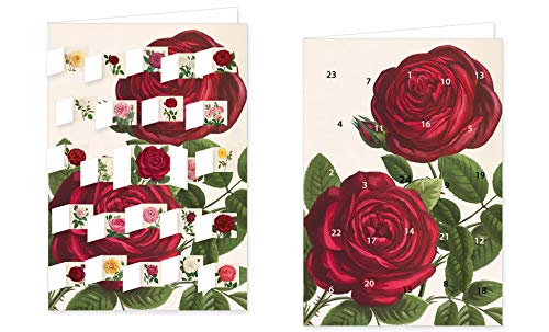 RASW095 - " Alte Gartenrosen " Adventskalender-Doppelkarte - 12,5 x 18,5 cm mit hochwertigem Kuvert von Rannenberg & Friends