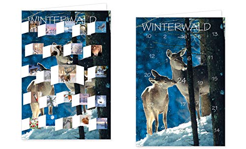 RASW109 - " Winterwald " Adventskalender-Doppelkarte - 12,5 x 18,5 cm mit hochwertigem Kuvert von Rannenberg & Friends