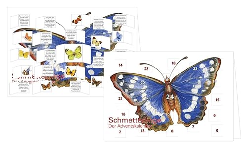 RASW113 | Motiv: "Schmetterlinge" | Adventskalender-Doppelkarte - 12,5 x 18,5 cm | mit hochwertigem Kuvert von Rannenberg & Friends
