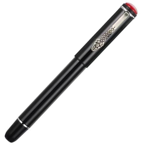 Ranvi Jinhao 025 Füllfederhalter mit Schlangenclip und Tintenkonverter, feine Feder, Hellschwarz Ranvi Jinhao 025 Füllfederhalter mit Schlangenclip und Tintenkonverter, feine Feder, Hellschwarz von Ranvi
