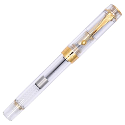 Ranvi Jinhao 100 Füllfederhalter, Extrafeine Feder, Goldbesatz, Kugelclip, Transparent von Ranvi