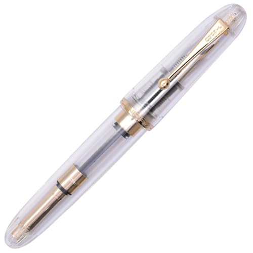 Ranvi Jinhao 9013 Füllfederhalter, Büro-Tintenschreiber mit feiner Feder und Konverter (transparent) von Ranvi