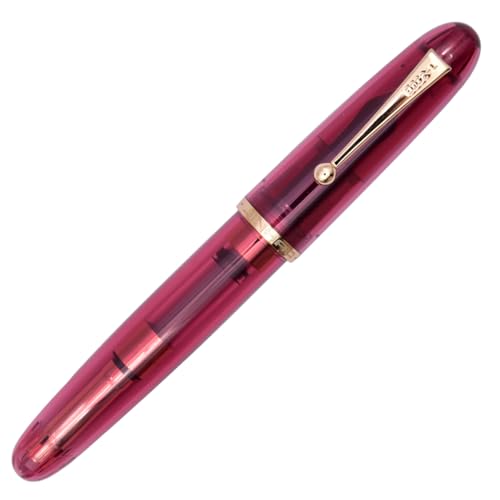 Ranvi Jinhao 9013 Füllfederhalter, Büro-Tintenschreiber mit feiner Feder und Konverter (transparent-rot) von Ranvi