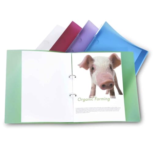 Rapesco 1044 ECO Ringbuch, 2 Ringe, 40mm Rücken, A4, Sortierte Farben, 10er Pack Rapesco 1044 ECO Ringbuch, 2 Ringe, 40mm Rücken, A4, Sortierte Farben, 10er Pack von Rapesco