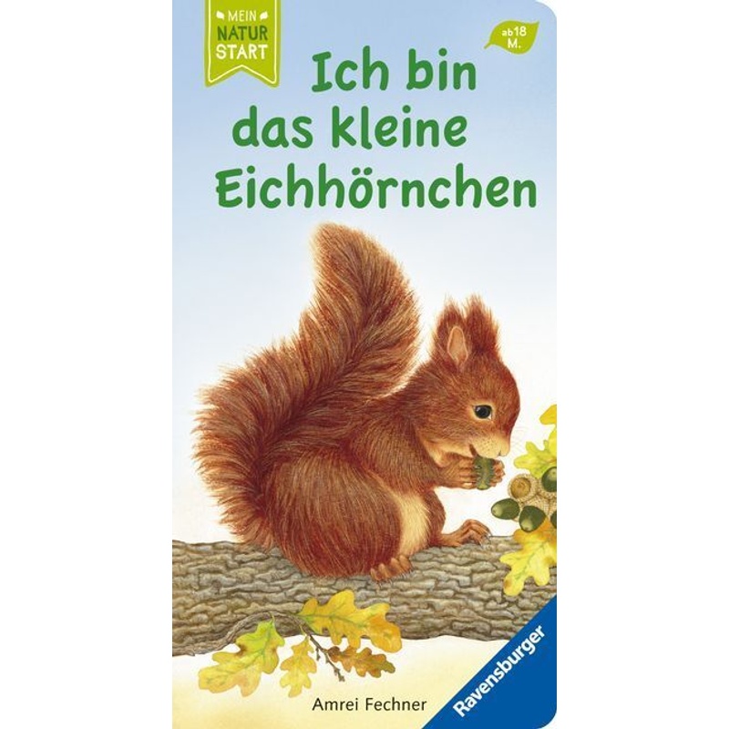 Ich Bin Das Kleine Eichhörnchen - Amrei Fechner, Pappband von Ravensburger Verlag