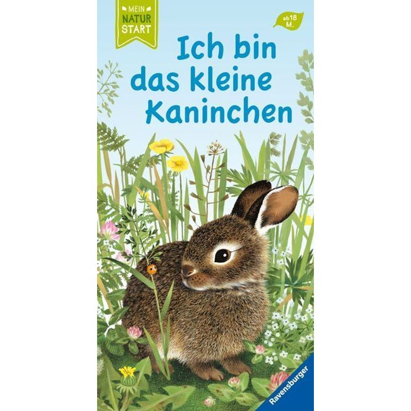 Ich Bin Das Kleine Kaninchen - Gerlinde Wiencirz, Pappband von Ravensburger Verlag