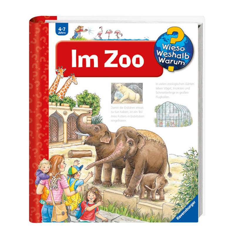 Im Zoo / Wieso? Weshalb? Warum? Bd.45 - Andrea Erne, Pappband von Ravensburger Verlag