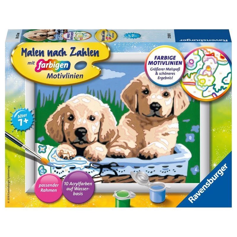 Mal-Set Malen Nach Zahlen Serie E – Süße Hundewelpen 13-Teilig von Ravensburger Verlag Malen nach Zahlen