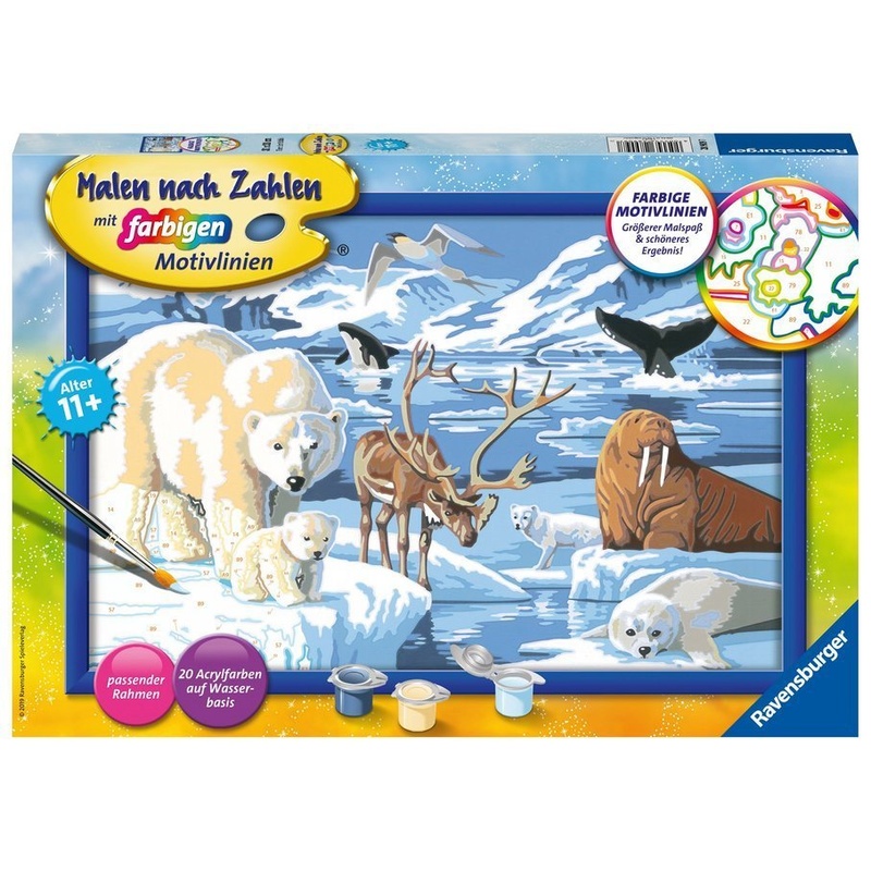 Serie C - Ravensburger Malen Nach Zahlen 28909 - Tiere Der Arktis - Kinder Ab 11 Jahren von Ravensburger Verlag
