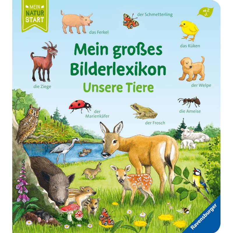 Mein Großes Bilderlexikon: Unsere Tiere - Susanne Gernhäuser, Pappband von Ravensburger Verlag