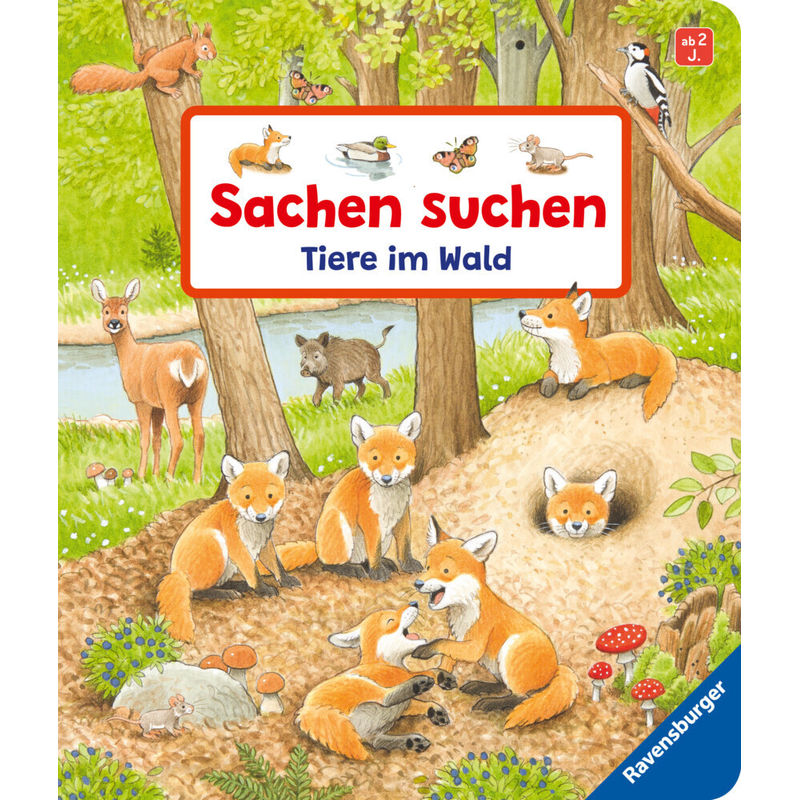 Sachen Suchen: Tiere Im Wald - Susanne Gernhäuser, Pappband von Ravensburger Verlag