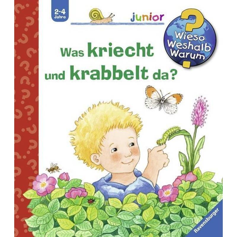 Was Kriecht Und Krabbelt Da? / Wieso? Weshalb? Warum? Junior Bd.36 - Irmgard Eberhard, Pappband von Ravensburger Verlag