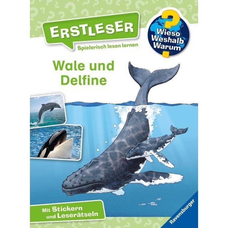 Wale Und Delfine / Wieso? Weshalb? Warum? - Erstleser Bd.3 - Sandra Noa, Gebunden von Ravensburger Verlag