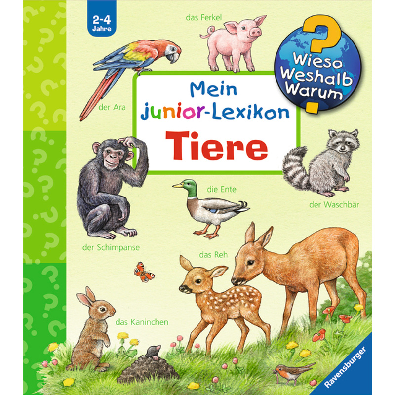 Wieso? Weshalb? Warum? Mein Junior-Lexikon: Tiere - Anne Möller, Pappband von Ravensburger Verlag