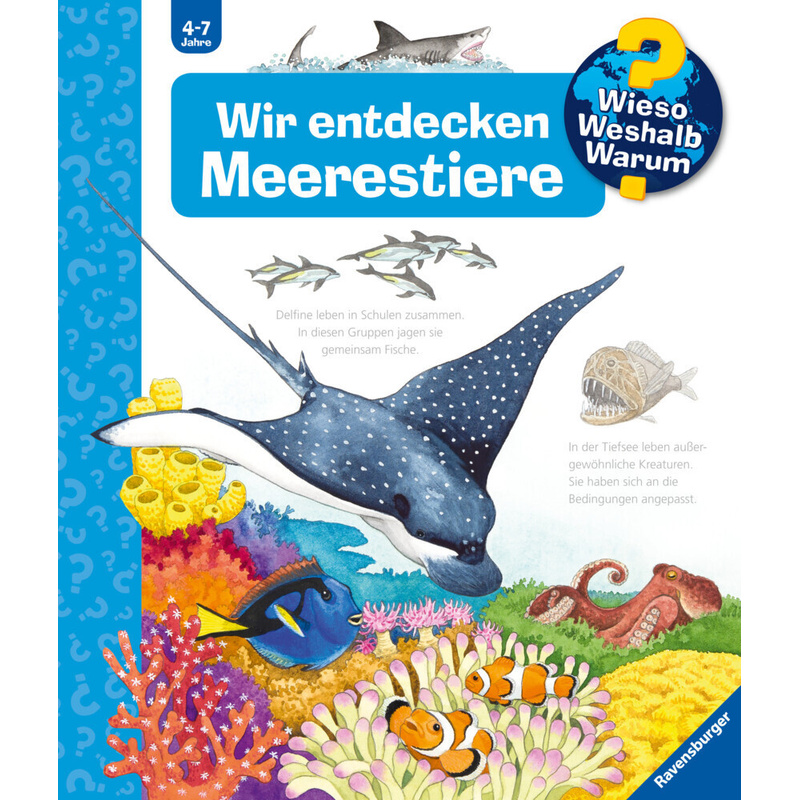 Wir Entdecken Meerestiere / Wieso? Weshalb? Warum? Bd.27 - Andrea Erne, Pappband von Ravensburger Verlag
