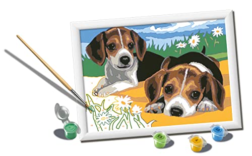 Ravensburger 28939 Paint by Numbers CreArt D Serie - Jack Russell Puppies, Mehrfarbig von Ravensburger