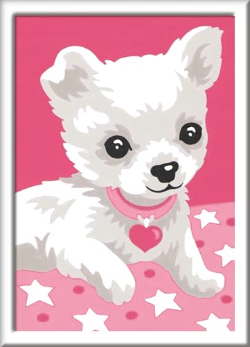 Ravensburger CreArt 29684 - Chihuaha - Malen nach Zahlen Hund für Kinder ab 7 Jahre, Ostergeschenke Kinder 7 Jahre, Kleines Geschenk zu Ostern Ravensburger CreArt 29684 - Chihuaha - Malen nach Zahlen Hund für Kinder ab 7 Jahre, Ostergeschenke Kinder 7 Jahre, Kleines Geschenk zu Ostern von Ravensburger