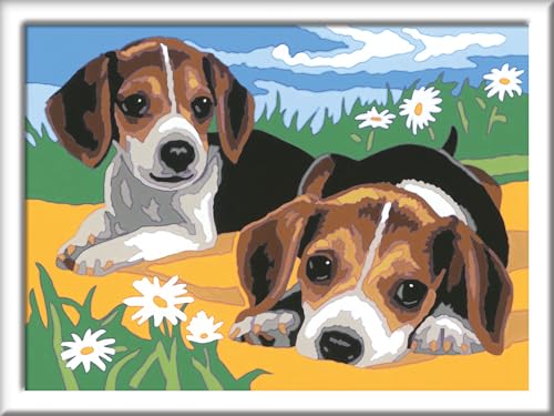 Ravensburger Malen nach Zahlen 28329 - Jack Russel Welpen Kinder ab 7 Jahren von Ravensburger