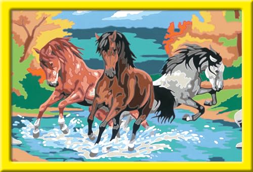 Ravensburger CreArt 28492 - Stolze Wildpferde - Malen nach Zahlen Pferde für Kinder ab 9 Jahre, Malset mit Rahmen, Pinsel und Acrylfarben, Geschenk für Mädchen und Jungen Ravensburger CreArt 28492 - Stolze Wildpferde - Malen nach Zahlen Pferde für Kinder ab 9 Jahre, Malset mit Rahmen, Pinsel und Acrylfarben, Geschenk für Mädchen und Jungen von Ravensburger