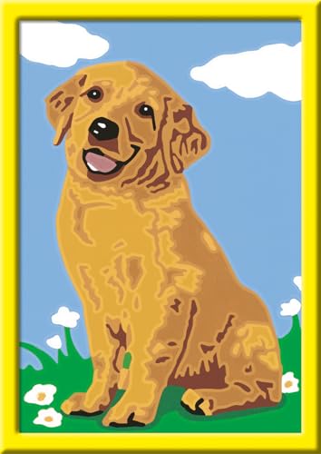 Ravensburger Malen nach Zahlen 28511 - Kleiner Golden Retriever- Kinder, Mittel von Ravensburger