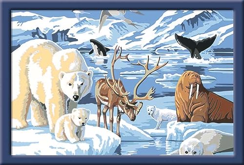 Ravensburger Malen nach Zahlen 28909 - Tiere der Arktis Kinder ab 11 Jahren von Ravensburger