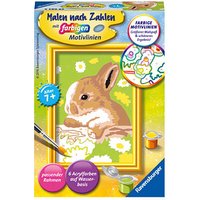 Ravensburger Malen-nach-Zahlen Häschen Flecki mehrfarbig von Ravensburger