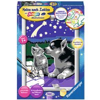 Ravensburger Malen-nach-Zahlen Hund und Katze mehrfarbig Ravensburger Malen-nach-Zahlen Hund und Katze mehrfarbig von Ravensburger