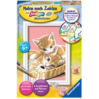 Ravensburger Malen-nach-Zahlen Katzenbabys mehrfarbig Ravensburger Malen-nach-Zahlen Katzenbabys mehrfarbig von Ravensburger