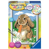 Ravensburger Malen-nach-Zahlen Knuddelhäschen mehrfarbig Ravensburger Malen-nach-Zahlen Knuddelhäschen mehrfarbig von Ravensburger