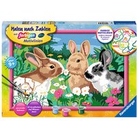 Ravensburger Malen-nach-Zahlen Putzige Häschen mehrfarbig Ravensburger Malen-nach-Zahlen Putzige Häschen mehrfarbig von Ravensburger