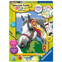 Ravensburger Malen-nach-Zahlen Stolzes Turnierpferd mehrfarbig Ravensburger Malen-nach-Zahlen Stolzes Turnierpferd mehrfarbig von Ravensburger