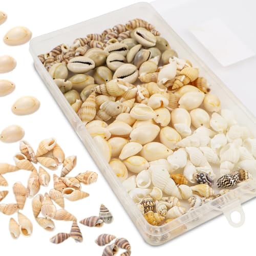 Raxfekro 120 Stück Muscheln Deko mit Loch 6 Stile für DIY Muscheln zum Basteln Natürlichen Muschel Perlen für Schmuck Machen kauri muscheln zum Auffädeln Basteln (12-15mm) von Raxfekro