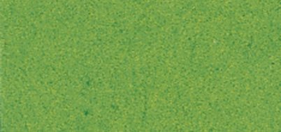 81002422 Papier Fotokarton, 50x70cm, 300g/m2, grasgrün 81002422 Papier Fotokarton, 50x70cm, 300g/m2, grasgrün von Rayher