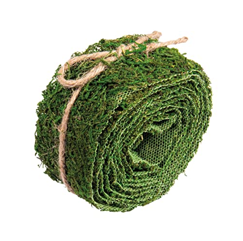 Rayher Moosband, grün, 5 cm breit, Länge 2 m, Naturmoos, auf Papierstreifen fixiert, Moos zum Basteln und Dekorieren, 5531400, Moosgrün Rayher Moosband, grün, 5 cm breit, Länge 2 m, Naturmoos, auf Papierstreifen fixiert, Moos zum Basteln und Dekorieren, 5531400, Moosgrün von Rayher