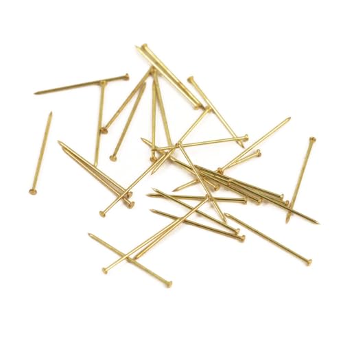 Rayher 2105600 Stecknadeln, 18 mm, messing, Dose 50 g (ca. 950 Stück), Gold von Rayher