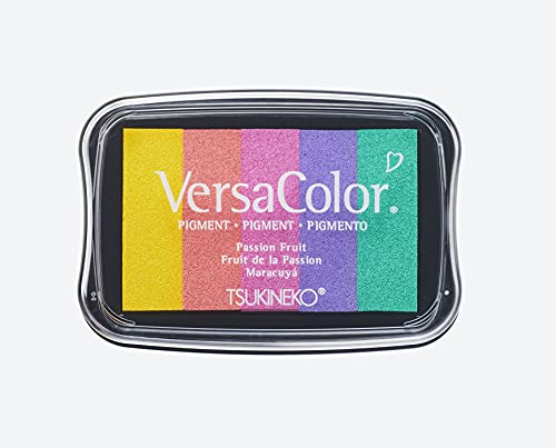 Rayher 2839799 Tsukineko Versacolor Pigment Stempelkissen, Regenbogen, 5 Farben, Stempelfläche 4,7 x 7,5 cm, Tinte auf Wasserbasis, Stempelfarbe von Rayher