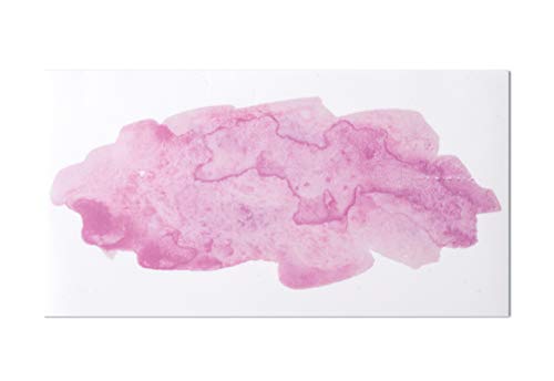 Rayher 31630258 Wachsmotiv Watercolor, rosé, 9 x 16,9 cm, 1 Stück, zum Gestalten von Kerzen (Firmung, Konfirmation, Taufe, Hochzeit etc.) von Rayher