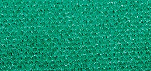 Rayher 35027430 Textil Spray, piniengrün, Flasche 50 ml, Textil-Sprühfarbe, farbintensive leuchtende Stofffarbe für helle Textilien, auf Wasserbasis von Rayher