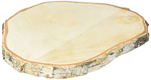 Rayher Holz, 55807000 Birkenscheibe, Durchmesser 29-32 cm, Braun von Rayher