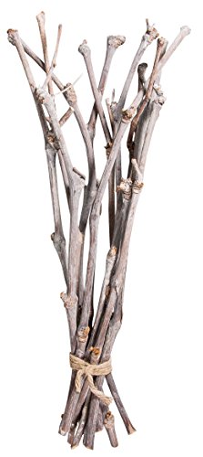 Rayher 55813000 Deko-Weinreben, 40 cm, Bund 12 Stück Rayher 55813000 Deko-Weinreben, 40 cm, Bund 12 Stück von Rayher
