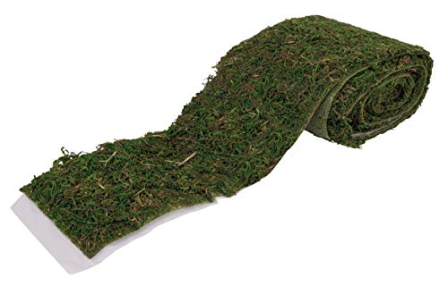 Rayher Moosband, dunkelgrün, 10 cm breit, Länge 1,8 m, Naturmoos, auf Textilfaser fixiert, Moos zum Basteln und Dekorieren, 55891448 von Rayher