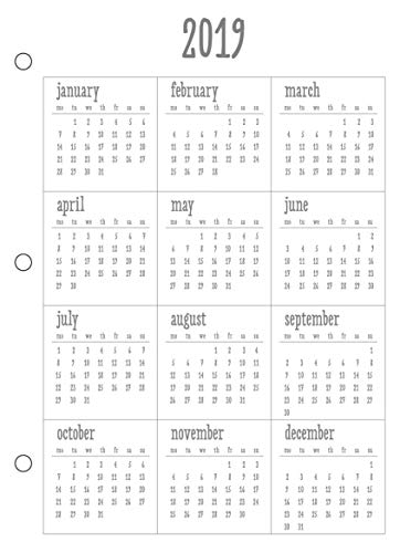 Rayher 60919000 Jahresübersicht 2019, Format A5, inklusiv Monatssticker Januar bis Dezember, für A5 Terminkalender, Planer A5 von Rayher