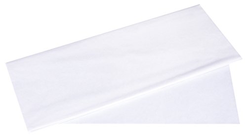 Rayher 67270102 Seidenpapier, weiß, 50x75cm, 5 Bogen, 17g/m², lichtecht, farbfest, leicht transparentes, dünnes Papier, Geschenkpapier, Papier zum Basteln Rayher 67270102 Seidenpapier, weiß, 50x75cm, 5 Bogen, 17g/m², lichtecht, farbfest, leicht transparentes, dünnes Papier, Geschenkpapier, Papier zum Basteln von Rayher