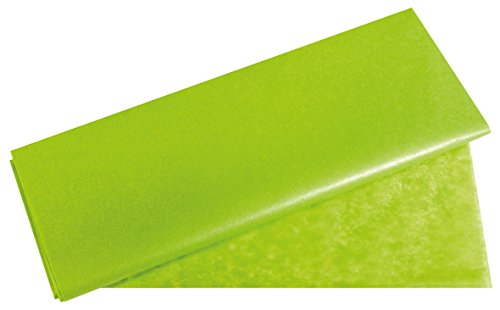 Rayher 67270417 Seidenpapier, hausergrün hell, 50x75cm, 5 Bogen, 17g/m², lichtecht, farbfest, leicht transparentes, dünnes Papier, Geschenkpapier, Papier zum Basteln Rayher 67270417 Seidenpapier, hausergrün hell, 50x75cm, 5 Bogen, 17g/m², lichtecht, farbfest, leicht transparentes, dünnes Papier, Geschenkpapier, Papier zum Basteln von Rayher