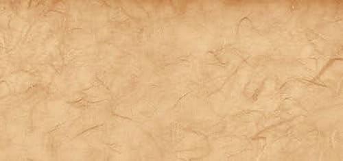 Rayher 81045504 Japan-Seide auf Rolle, 150x70cm, sand Rayher 81045504 Japan-Seide auf Rolle, 150x70cm, sand von Rayher