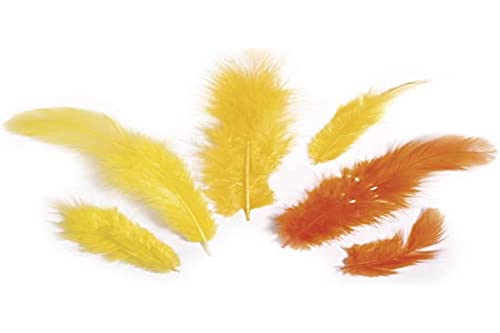 Rayher 8511720 Federmischung, 3-10 cm, SB-Btl. 10 g, gelb/orange Rayher 8511720 Federmischung, 3-10 cm, SB-Btl. 10 g, gelb/orange von Rayher