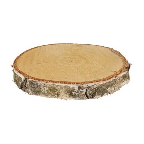 Rayher 85319000 Birken Scheibe rund natur, Ø15-17cm x 2cm Höhe, Beutel Rayher 85319000 Birken Scheibe rund natur, Ø15-17cm x 2cm Höhe, Beutel von Rayher