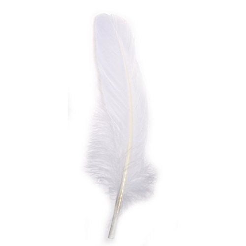 Rayher 85461102 Gänsefeder, 16-20 cm, SB-Btl 8Stück, weiß, Weiss/Opulenter Garten, White Rayher 85461102 Gänsefeder, 16-20 cm, SB-Btl 8Stück, weiß, Weiss/Opulenter Garten, White von Rayher